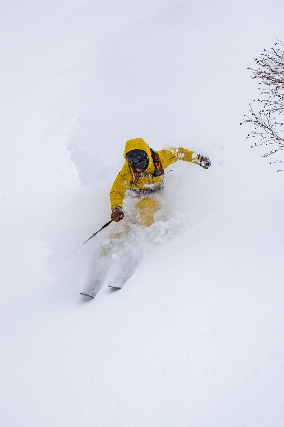 Esquiador en powder profundo, Japón