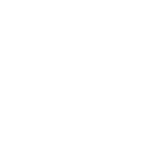 White Fox Camps